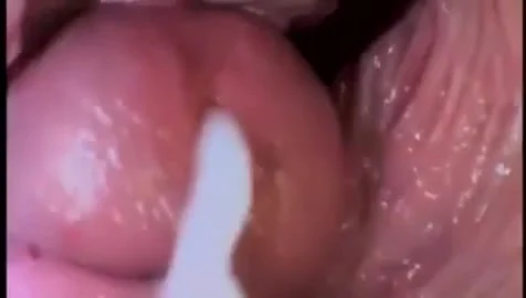 Inside The Pussy Hole 61